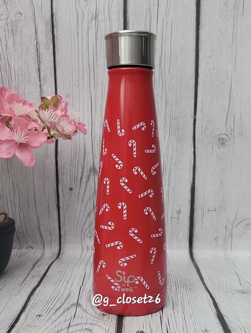 S'ip by S'well Vacuum Insulated Stainless Steel Water Bottle,15 oz